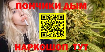 гидропоника Краснознаменск