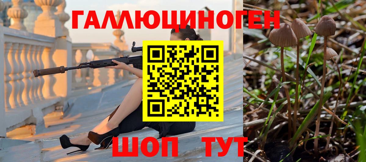 Псилоцибиновые грибы GOLDEN TEACHER Качканар